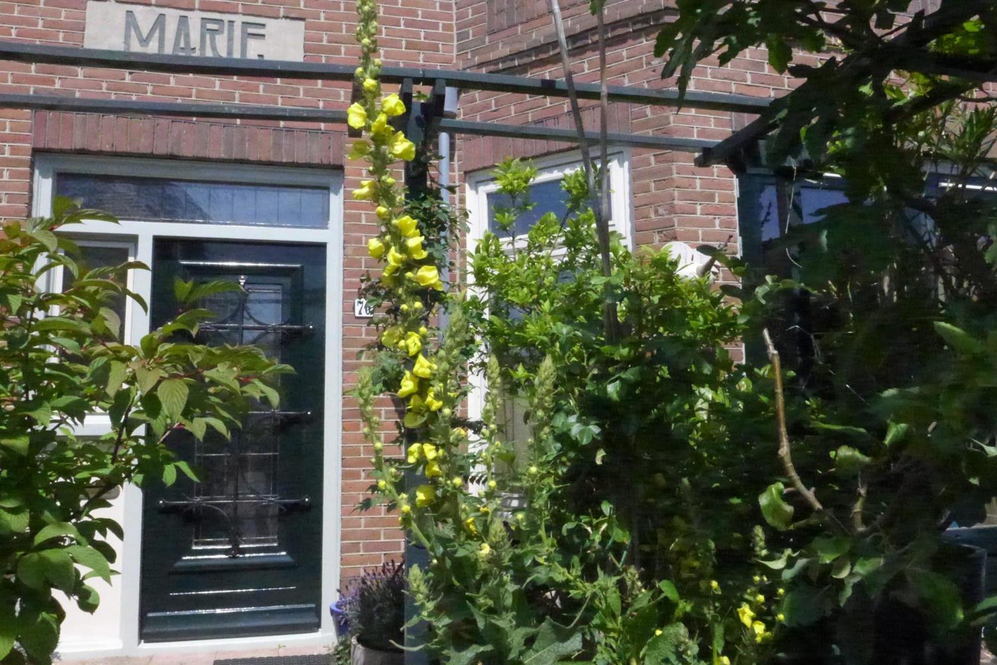 Family Home Marie Zandvoort Exterior foto